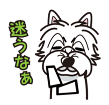 iinu - West Highland White Terrier sticker #7048050
