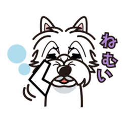 iinu - West Highland White Terrier sticker #7048055
