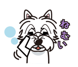 iinu - West Highland White Terrier sticker #7048055