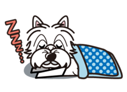 iinu - West Highland White Terrier sticker #7048056
