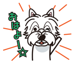 iinu - West Highland White Terrier sticker #7048057