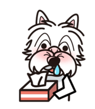 iinu - West Highland White Terrier sticker #7048059