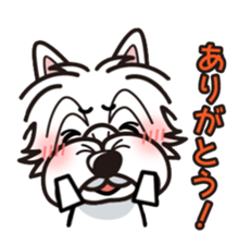 iinu - West Highland White Terrier sticker #7048067