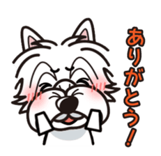 iinu - West Highland White Terrier sticker #7048067