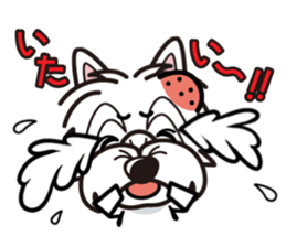 iinu - West Highland White Terrier sticker #7048078