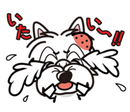 iinu - West Highland White Terrier sticker #7048078