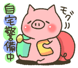 Buhi of pig appeared! sticker #7049890