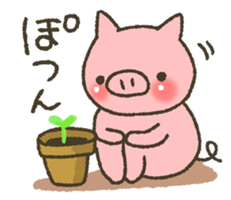 Buhi of pig appeared! sticker #7049892