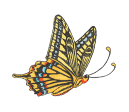 Fairy butterfly sticker #7050127