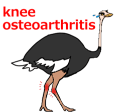 Lady Panda part3 sticker #7052525