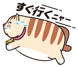 Cute fat cat "TORA" sticker #7053172