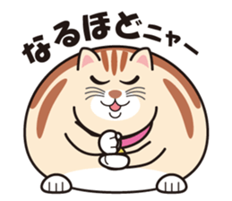 Cute fat cat "TORA" sticker #7053190
