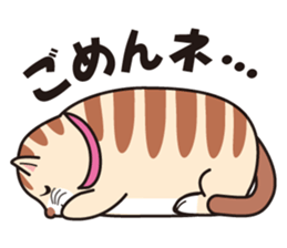 Cute fat cat "TORA" sticker #7053197