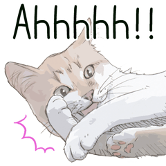 Colored pencil Cat sticker 2