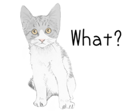 Colored pencil Cat sticker 2 sticker #7053368