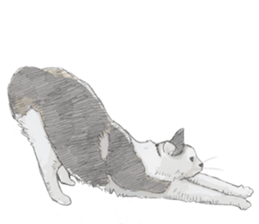 Colored pencil Cat sticker 2 sticker #7053369