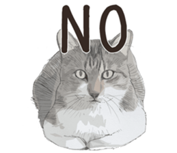 Colored pencil Cat sticker 2 sticker #7053373