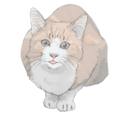 Colored pencil Cat sticker 2 sticker #7053374