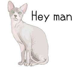 Colored pencil Cat sticker 2 sticker #7053377