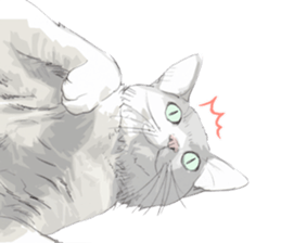 Colored pencil Cat sticker 2 sticker #7053382