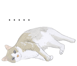 Colored pencil Cat sticker 2 sticker #7053383
