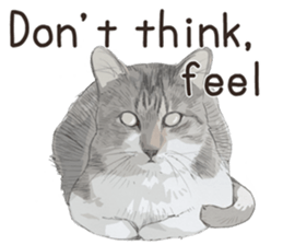 Colored pencil Cat sticker 2 sticker #7053384