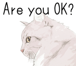 Colored pencil Cat sticker 2 sticker #7053385