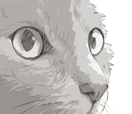 Colored pencil Cat sticker 2 sticker #7053390