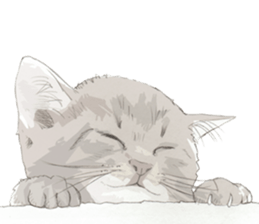 Colored pencil Cat sticker 2 sticker #7053391