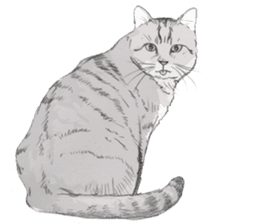 Colored pencil Cat sticker 2 sticker #7053397