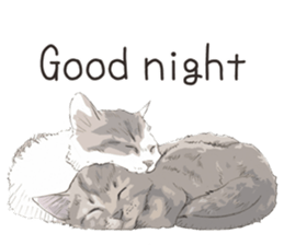 Colored pencil Cat sticker 2 sticker #7053400