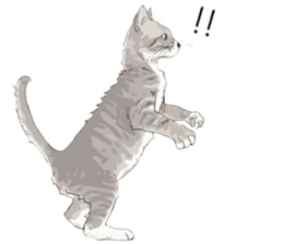 Colored pencil Cat sticker 2 sticker #7053402