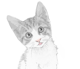 Colored pencil Cat sticker 2 sticker #7053403