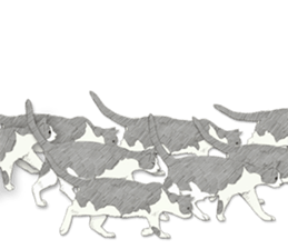 Colored pencil Cat sticker 2 sticker #7053405