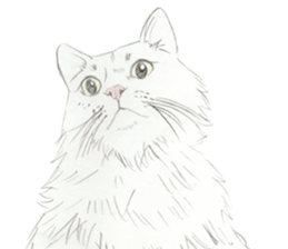 Colored pencil Cat sticker 2 sticker #7053406