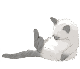 Colored pencil Cat sticker 2 sticker #7053407