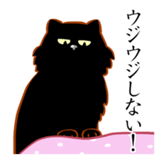 Black cat's Proverbs sticker #7055466