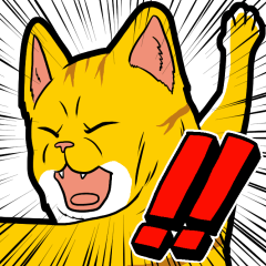 Kitan Club Japanese Cat "KUITOMERU-NYA"