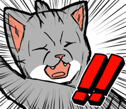 Kitan Club Japanese Cat "KUITOMERU-NYA" sticker #7057049