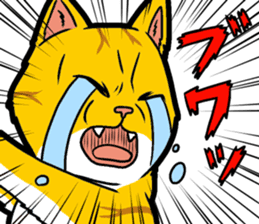 Kitan Club Japanese Cat "KUITOMERU-NYA" sticker #7057051