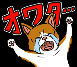 Kitan Club Japanese Cat "KUITOMERU-NYA" sticker #7057057