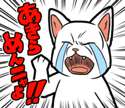 Kitan Club Japanese Cat "KUITOMERU-NYA" sticker #7057059