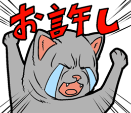 Kitan Club Japanese Cat "KUITOMERU-NYA" sticker #7057061