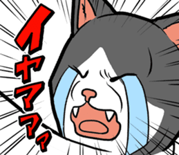 Kitan Club Japanese Cat "KUITOMERU-NYA" sticker #7057064