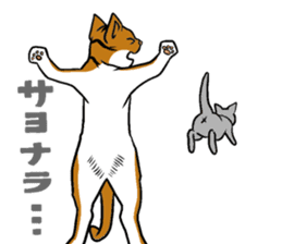 Kitan Club Japanese Cat "KUITOMERU-NYA" sticker #7057065