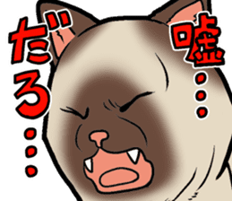 Kitan Club Japanese Cat "KUITOMERU-NYA" sticker #7057066