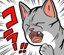Kitan Club Japanese Cat "KUITOMERU-NYA" sticker #7057071