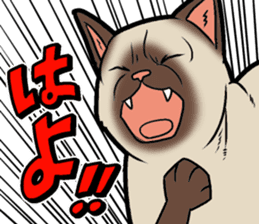 Kitan Club Japanese Cat "KUITOMERU-NYA" sticker #7057076