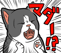 Kitan Club Japanese Cat "KUITOMERU-NYA" sticker #7057077