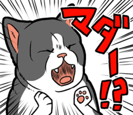 Kitan Club Japanese Cat "KUITOMERU-NYA" sticker #7057077